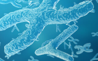 Darstellung mehrere Chromosomen mit deren Telomeren