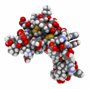 Molekulare Struktur des Epidermal Growth Factor